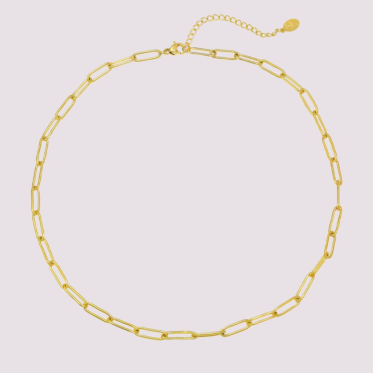 Choker Chaîne Paris Flavor