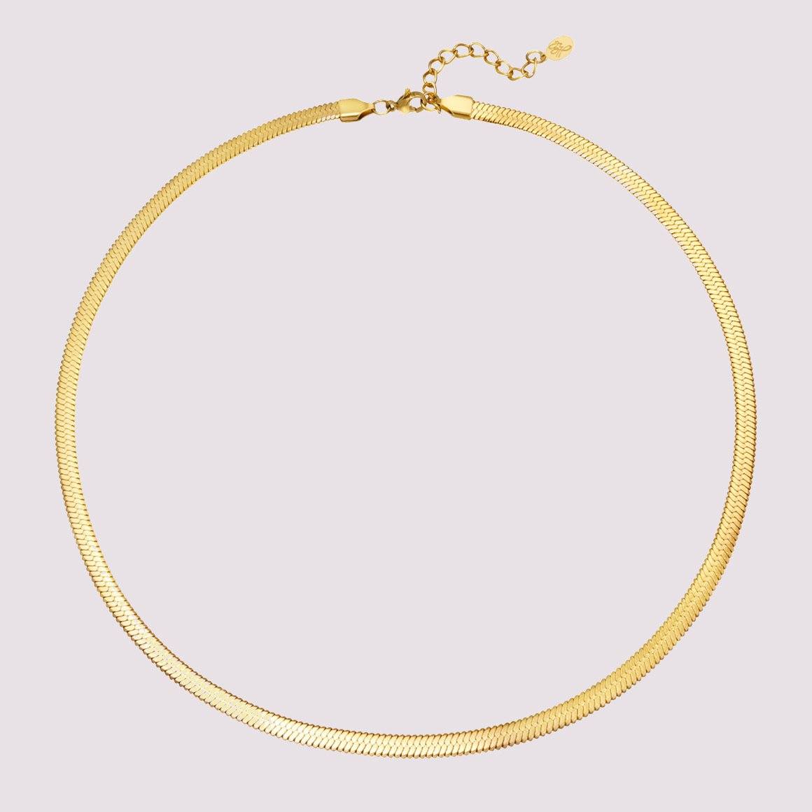 Choker Simple ParisFlavor